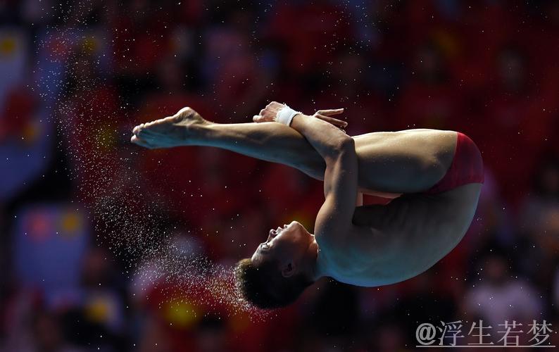 跳水世界杯决赛：男子10米跳台预赛